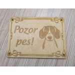 psí cedulka POZOR PES